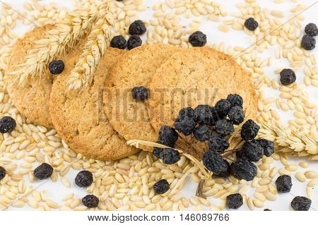 Integral Bisuits With Aronia