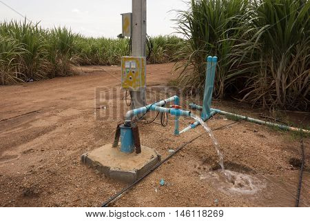 sugmerge brings the water from underground and feeds the water into the sugarcane field