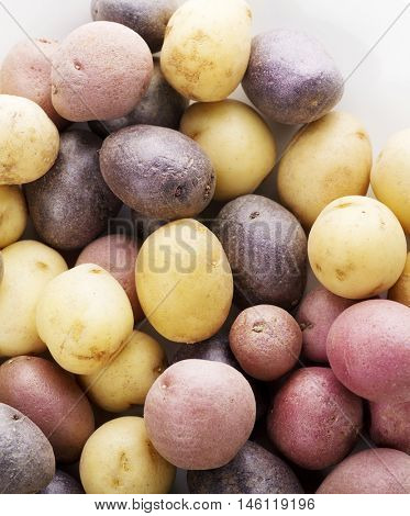 Raw Fingerling potatoes ,close up for  background