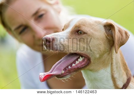 Portrait Of A Dog With A Woman