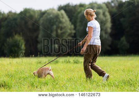 Woman With A Dog At The Leash