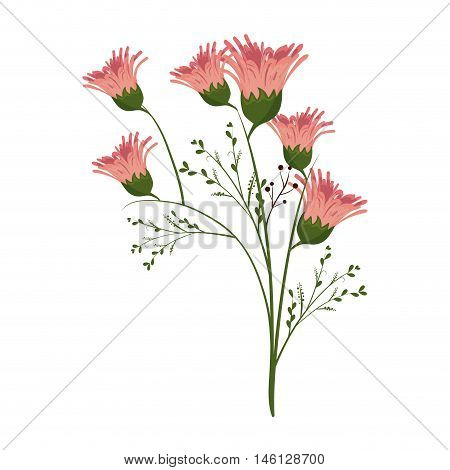 floral natural and beautiful blossom flowers. spring season. vector illustration