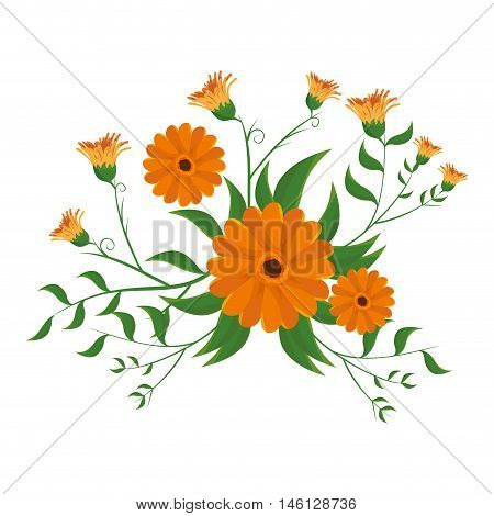 floral natural and beautiful blossom flowers. spring season. vector illustration