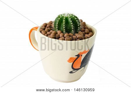 Small Cactus In A Cup Of Chicken Pattern
