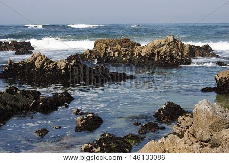 This is an image of large rocks along the shoreline of Asilomar
Beach in Pacific Grove, California.