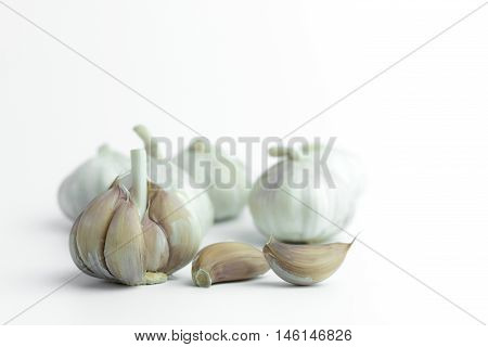Close up Garlic isolated on white background