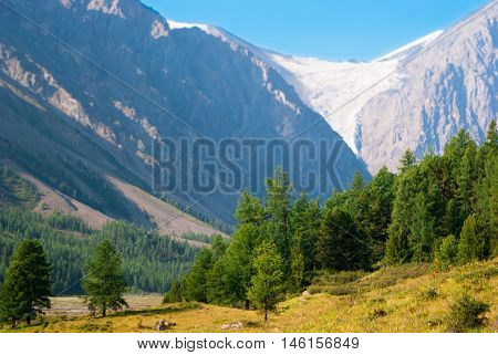 At The Foothills Of Aktru Glacier, Altay Mountaind