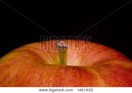 Apple стволовых