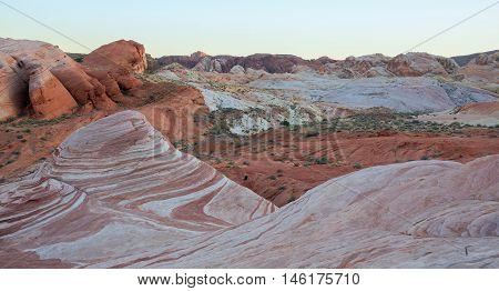 Fire Wave Sandstone Formation, Valley Of Fire State Park, Nevada, USA. Surrounded by yellow, orange, pink, and red rocks of amazing shapes, the Fire Wave folds on itself in picturesque, taffy-like curves.