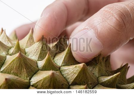 Durian Fruit