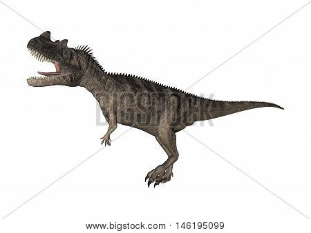 3D Rendering Dinosaur Ceratosaurus On White