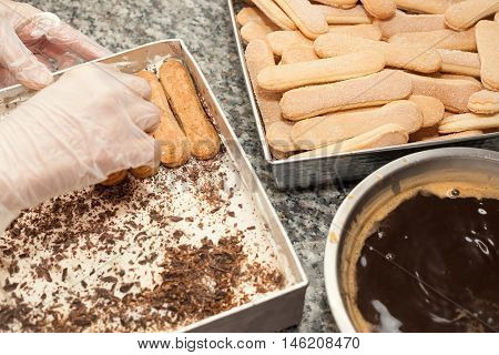 Tiramisu cake preparation-two hands in rubber gloves adding layer of Savoyardy biscuits, big coffee pan, horizontal, indoors