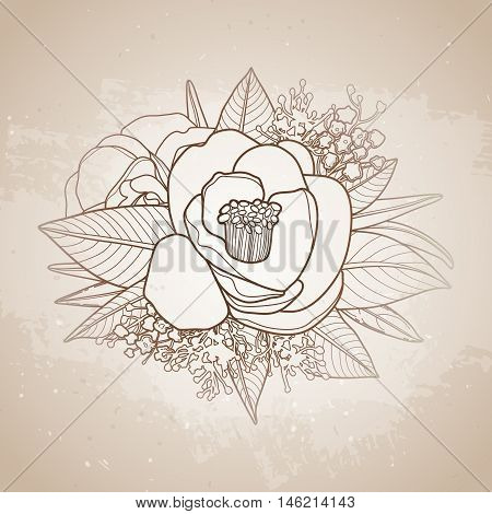 Graphic floral card. Vector camellia leaves and flowers in cute vignette isolated on aged texture. Wedding style decorations in brawn colors. Coloring book page design for adults and kids
