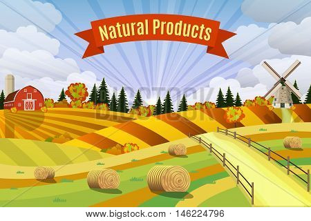 Countryside landscape with haystacks on fields. Rural area landscape. Hay bales. Farm flat landscape. Organic food concept for any design, vector
