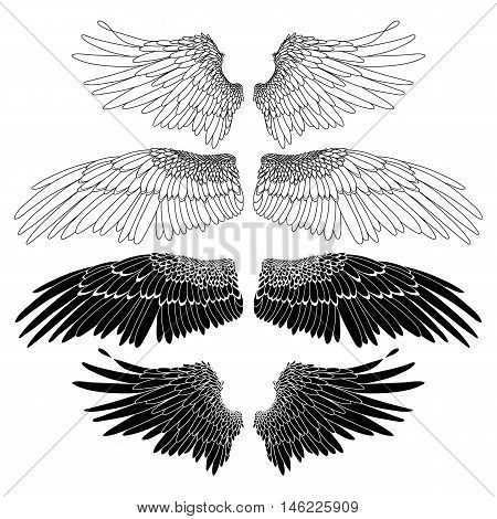 Graphic collection of wings drawn in line art style. Vector art in black and white colors. Coloring book page design for adults and kids