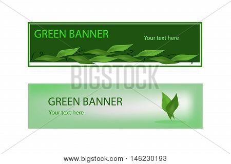 Green ecological banner with green leaves for some text