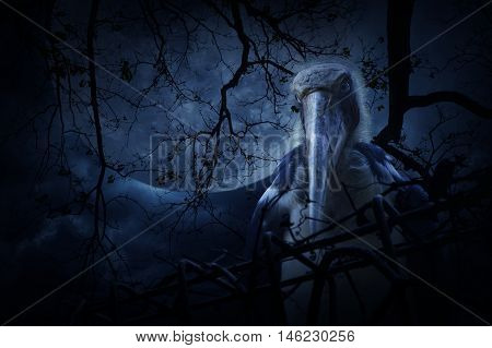 Lesser adjutant stork bird with old fence over dead tree moon and cloudy sky Mystery background Halloween concept