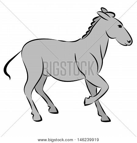 donkey gray line drawing vector illustration side  view