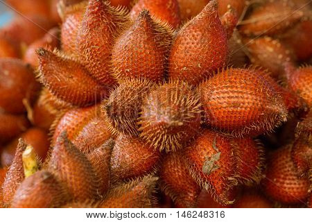 Wintergreen fruit in Thailand taste sweet and sour