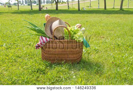 Straw picnic basket with food and drinks on green grass