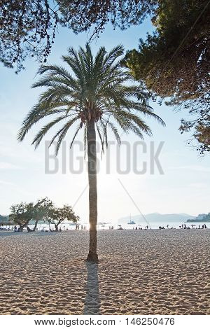 Beach People And Parasols Silhouettes