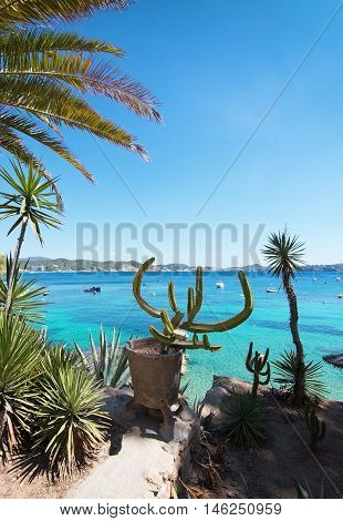 Cactus Garden And Green Water