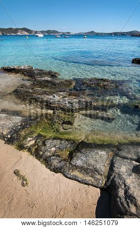 Cala Fornells Beach