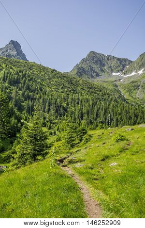 Path in Carphatian Mountains leading to summit