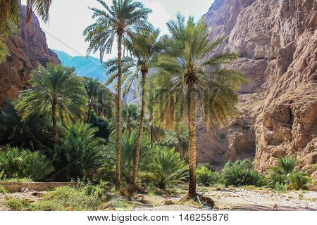 Wadi Shab In Oman
