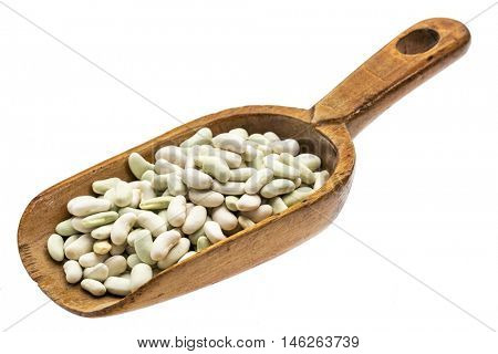 flageolet beans on a rustic wooden scoop, isolated on white