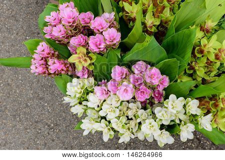 Many types of flowers for sale along the way.