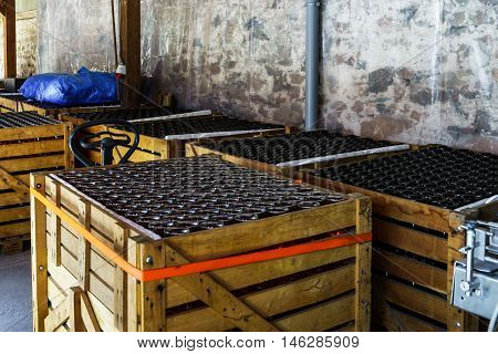 Automation Bottling Line For Produce Champagne In Alsace