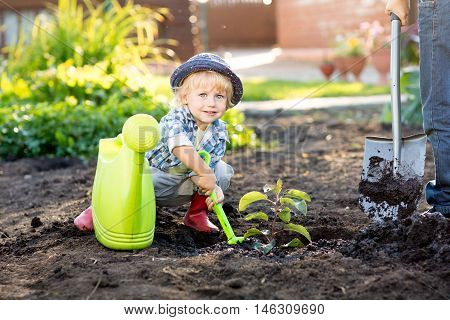 Little boy kid gardener planting apple tree near house
