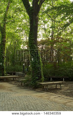 Hongik University In Seoul, Korea