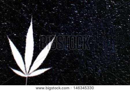 White ganja leaf abstract image can be used as background