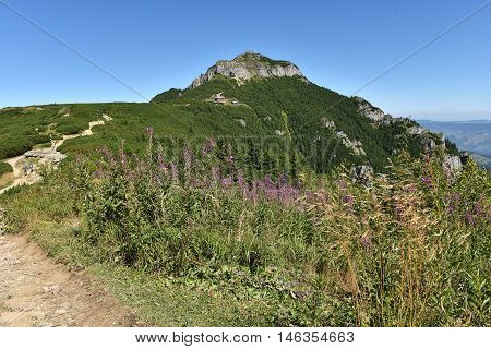Mountain Landscape. Ceahlau Mountains, Eastern Carpathians, Romania