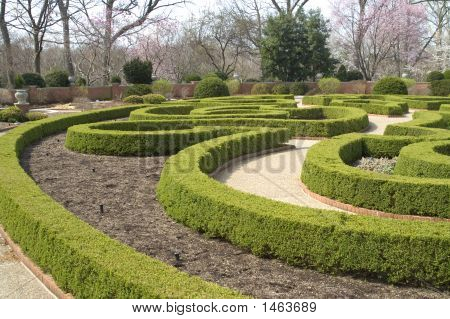 Setos de boj en un jardín Formal