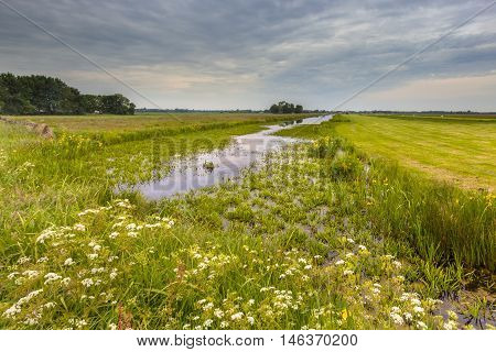 Canal With Water Soldier Vegetation