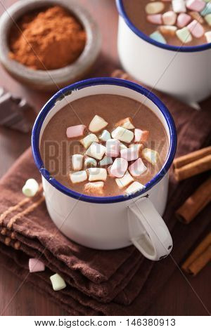 hot chocolate with mini marshmallows cinnamon winter drink