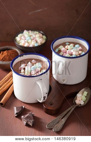 hot chocolate with mini marshmallows cinnamon winter drink