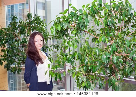 Young Asian business woman in office. The window on the top floor with a plant
