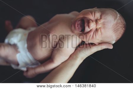 Portrait of newborn baby crying in parents' arms. Mother hands.