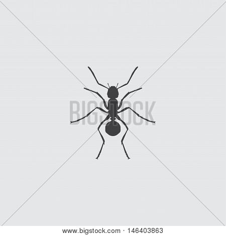 Ant Icon in a flat design in black color. Vector illustration eps10