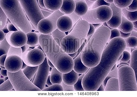 Bacterial infection. Rod-shaped bacteria, close-up view. 3D illustration