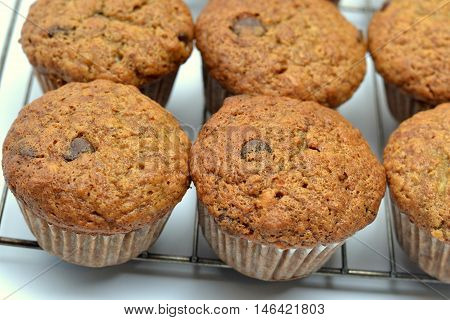 Homemade Banana Chocolate Chip Muffins on Cooling Rack