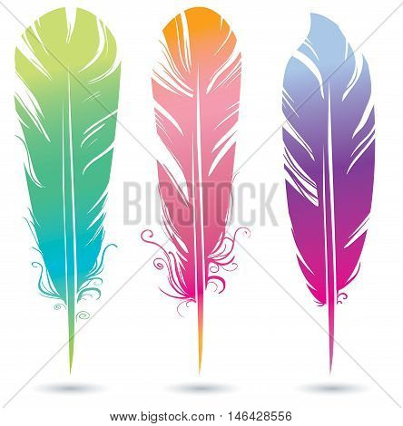 graphics, color bright decorative feathers of birds of different shapes