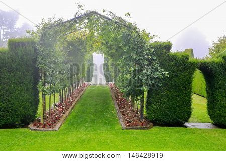 Dunedin, New Zealand - Febr 10, 2015: Foggy Morning In The Garden Of Larnach Castle.