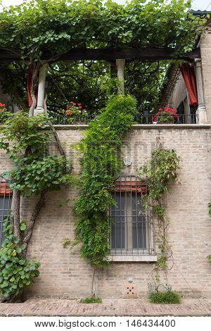 An Old House With Cilmbing Plants In A Garden In Italy