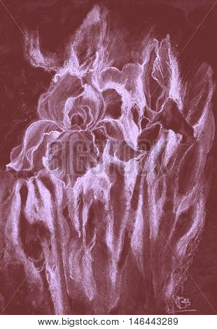 background vintage floral old brown retro pattern iris flower sepia shabby beautiful design nature flowers color peonies art graphic water pretty wallpaper decorative hand drawing garden romantic monochrome painted blooming print sketch colour artwork blo