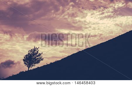Silhouette Of A Lone Tree On A Hill Against A Sunset